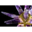 Lustre en forme de sphère Spoutnik Bengy-1889871648-1889871640-1889871633