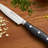 Henckels Nola 4-Inch Paring Knife