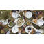 Lenox French Perle Groove 12-Piece Dinnerware Set