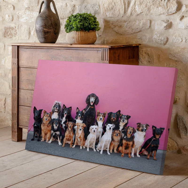 Toile, scène vibrante d'un groupe diversifié de chiens d'art mural, H 11 po x l 14 po