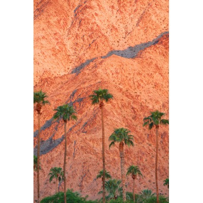 " Palm Springs, California "