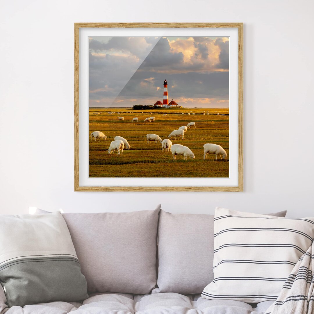 Gerahmtes Poster Nordsee-Leuchtturm mit Schafherde