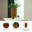 Chaffinch Vase-122059984-122059987