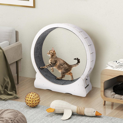 Indoor Cat Wheel Quiet Exercise Treadmill Carpeted Runway Pet Health Entertainment