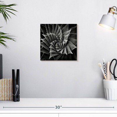 Harnek BW Succulent I