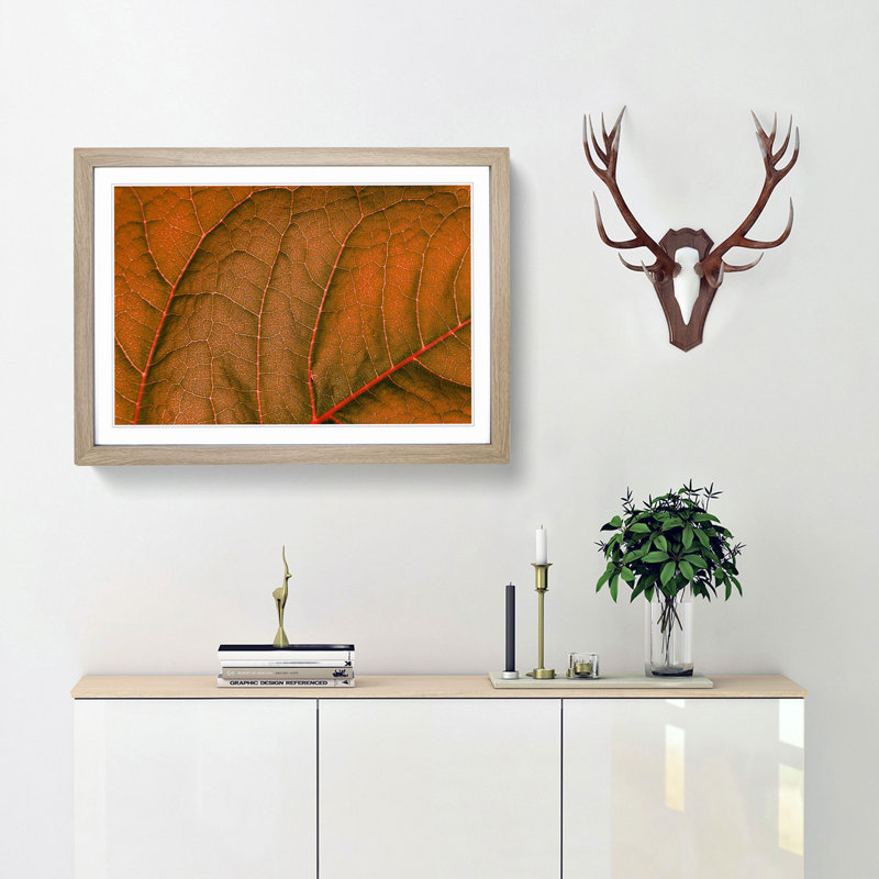 Leaf Veins - Picture Frame Photograph Print, 48cm H x 65cm W x 2cm D, Oak Framed