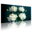 Pivoine blanche pivoines sur fond foncé avec ensemble de 3 impressions murales sur toile-370632658