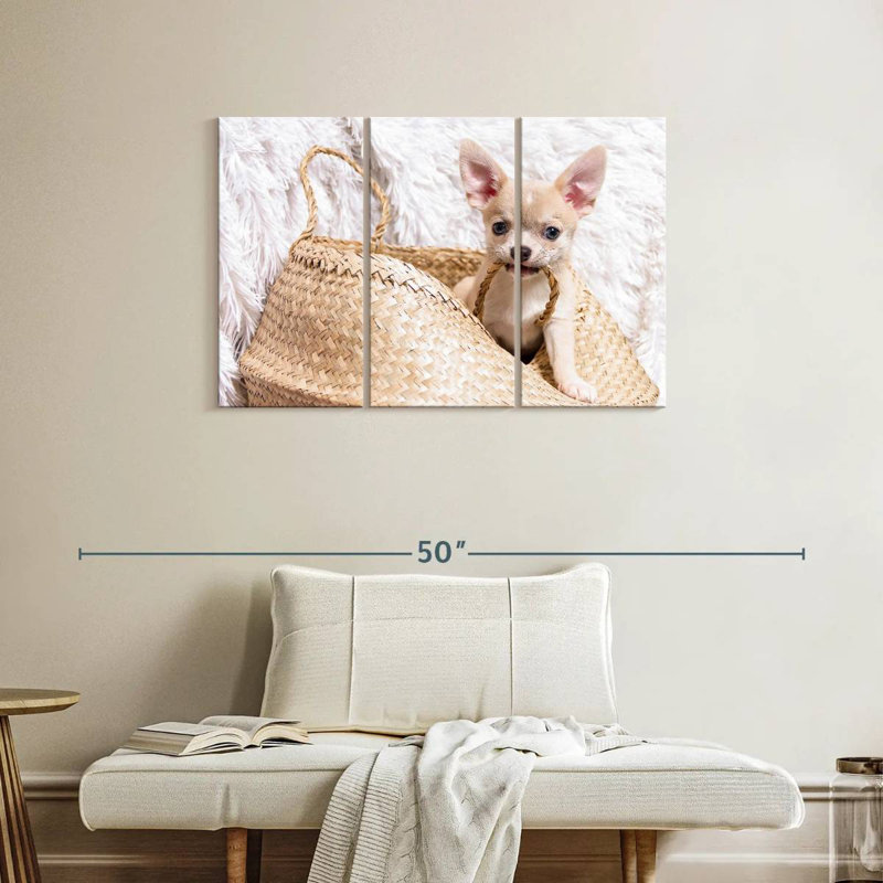 Brampt Rowdy Chihuahua, 24" H x 38" W