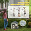 Portable Dog House