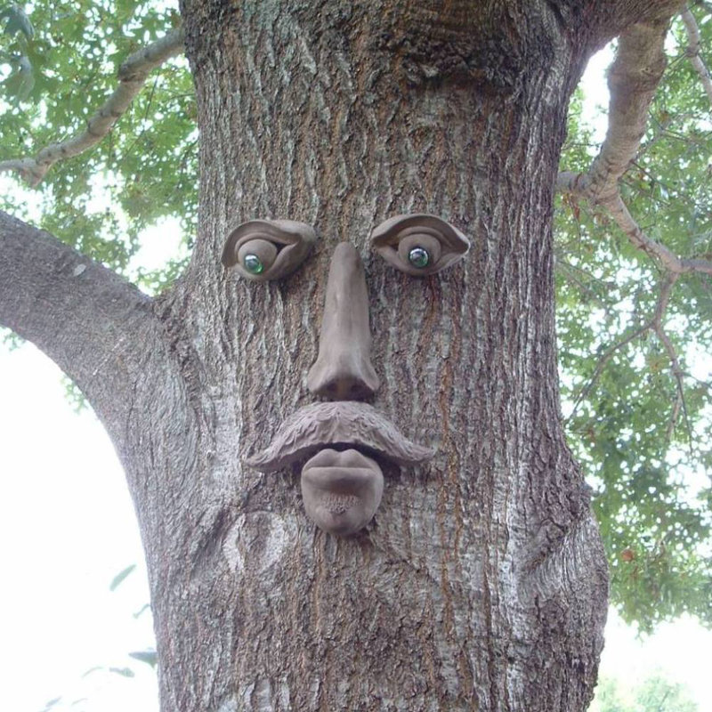 Face d'arbre Dagwood