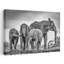 Éléphants d'Afrique à Waterhole-1017800627
