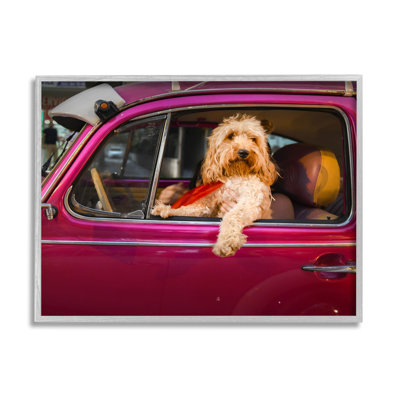 Ba-360-Framed " Funny Chauffeur Dog " by Mehmet Asian