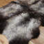 Sagan One-of-a-Kind Sheepskin Rug