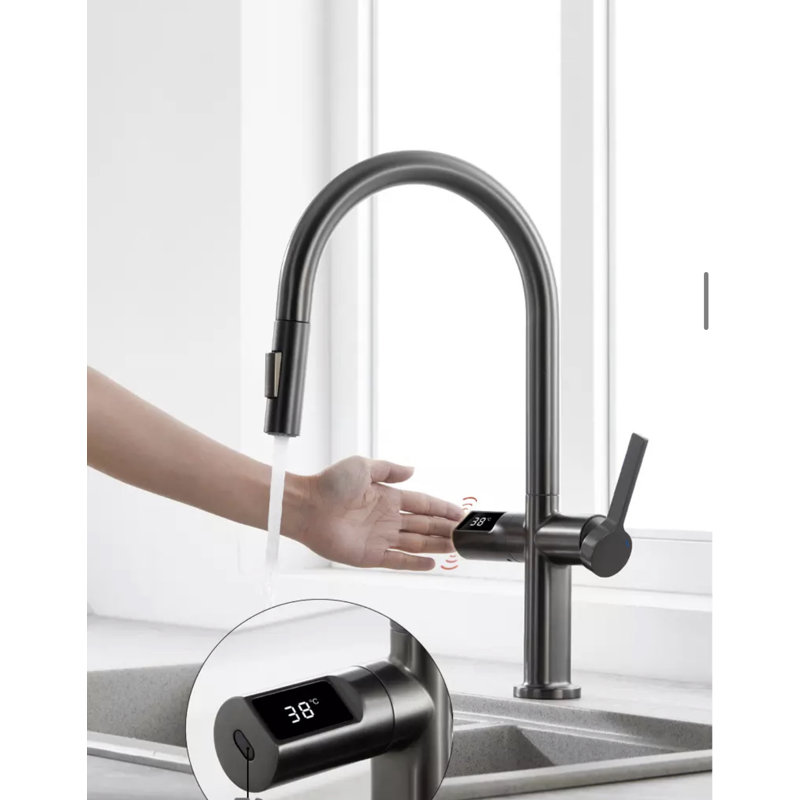 AvaMalis Pull Down Kitchen Faucet