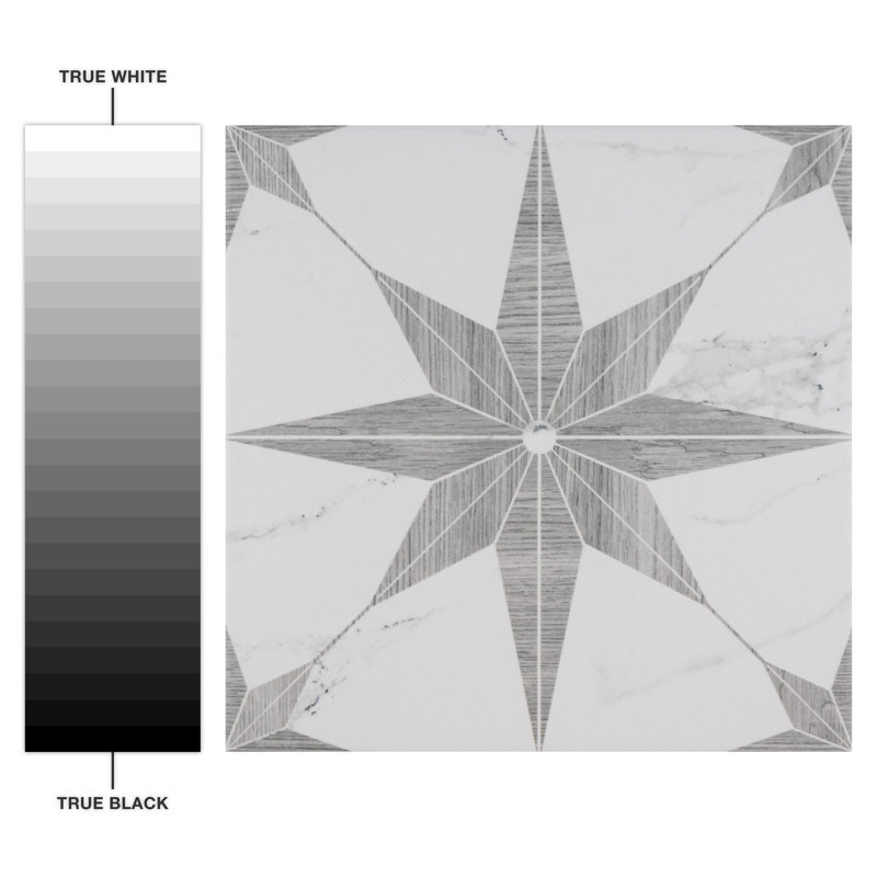 Llama Stella Loire 10" x 10" Porcelain Marble Look Wall & Floor Tile, Silver Smoke