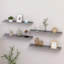 Burnettsville 4 Piece Picture Ledge Wall Shelf-1143882582-1143882576