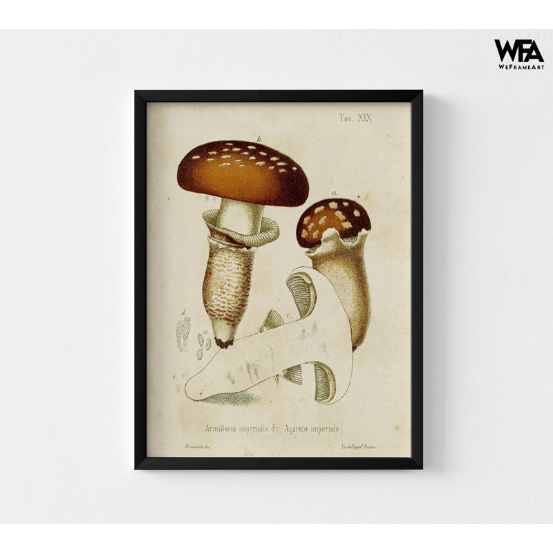 Reproduction d'affiche champignon sauvage, art mural encadré champignon magique, impression d'art mural champignon, décoration murale botanique, art mural encadré, art mural surdimensionné