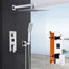 Avni Adjustable Shower Head