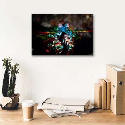 «Peacock Mantis Shrimp» par Epic Portfolio, art mural sur toile