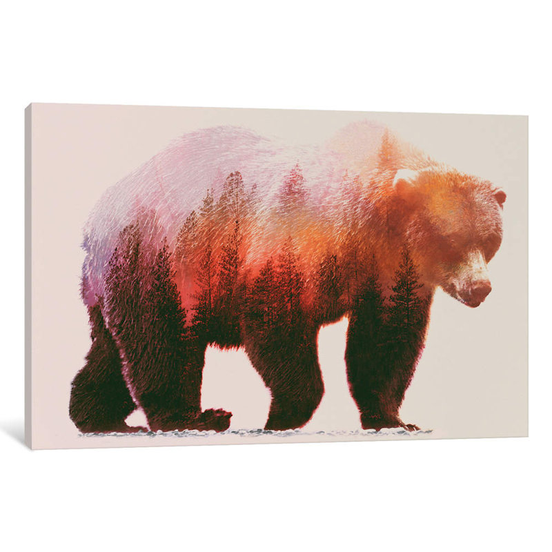 Brown Bear by Andreas Lie - Print on Canvas, Wrapped Canvas, 101.6 cm H x 66.04 cm W x 3.175 cm D