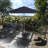 Ethel 132'' Market Umbrella-440688649-440688651