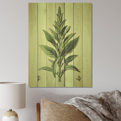 Green Minimalist Herbal Harmony I - Herbes florales sur bois
