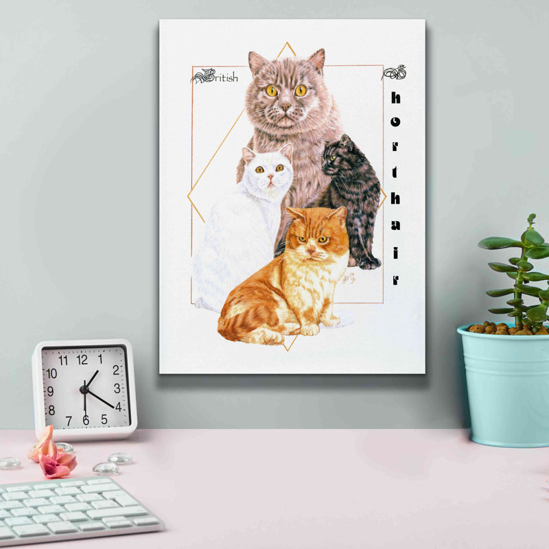 «British Shorthair» par Barbara Keith, art mural sur toile