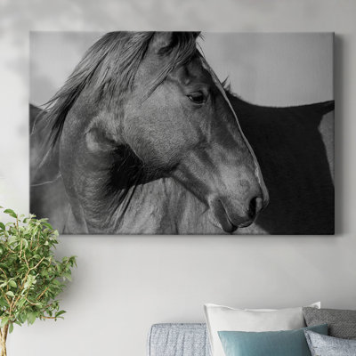 Flint Hills Wild Horse-Gallery Wrapped Canvas