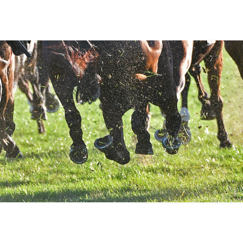 Horse Racing Action by Quentinjlang - Wrapped Canvas Print, 30cm H x 46cm W