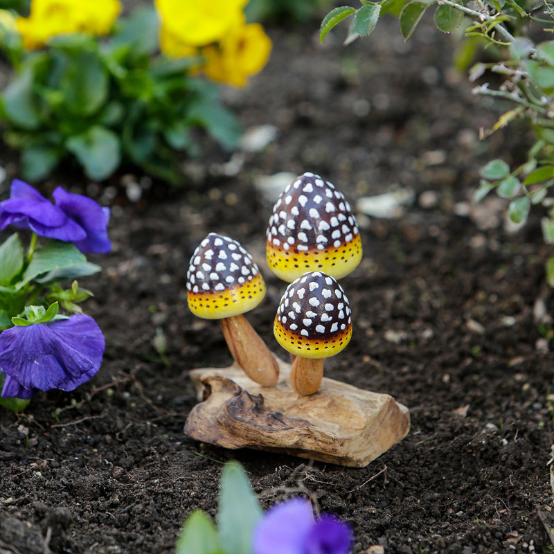 Parasite ananas champignon 3,5 x 4,5 x 6 po