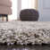Hasan Shag Performance Rug