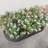 Raised Garden Bed Outdoor, Oval Large Metal Raised Planter Bed For For Plants, Vegetables, And Flowers - Black-2069173149-2069173150-2069173088