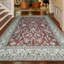 Wool Oriental Area Rug in Rust/Ivory