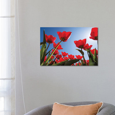 Look up in Red 1 Piece Wrapped Canvas Wall Art