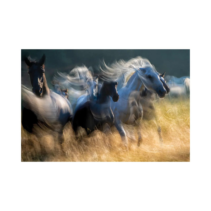 In Akcion By Milan Malovrh - Wrapped Canvas Painting by Milan Malovrh - Wrapped Canvas Painting