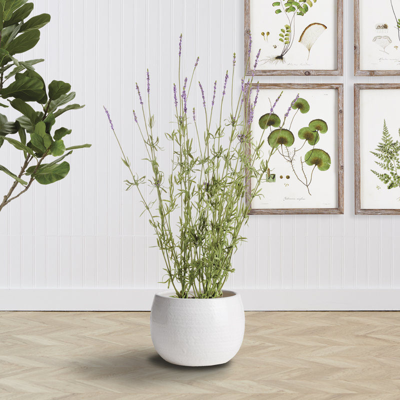 Aylor White Ceramic Outdoor Pot Planter