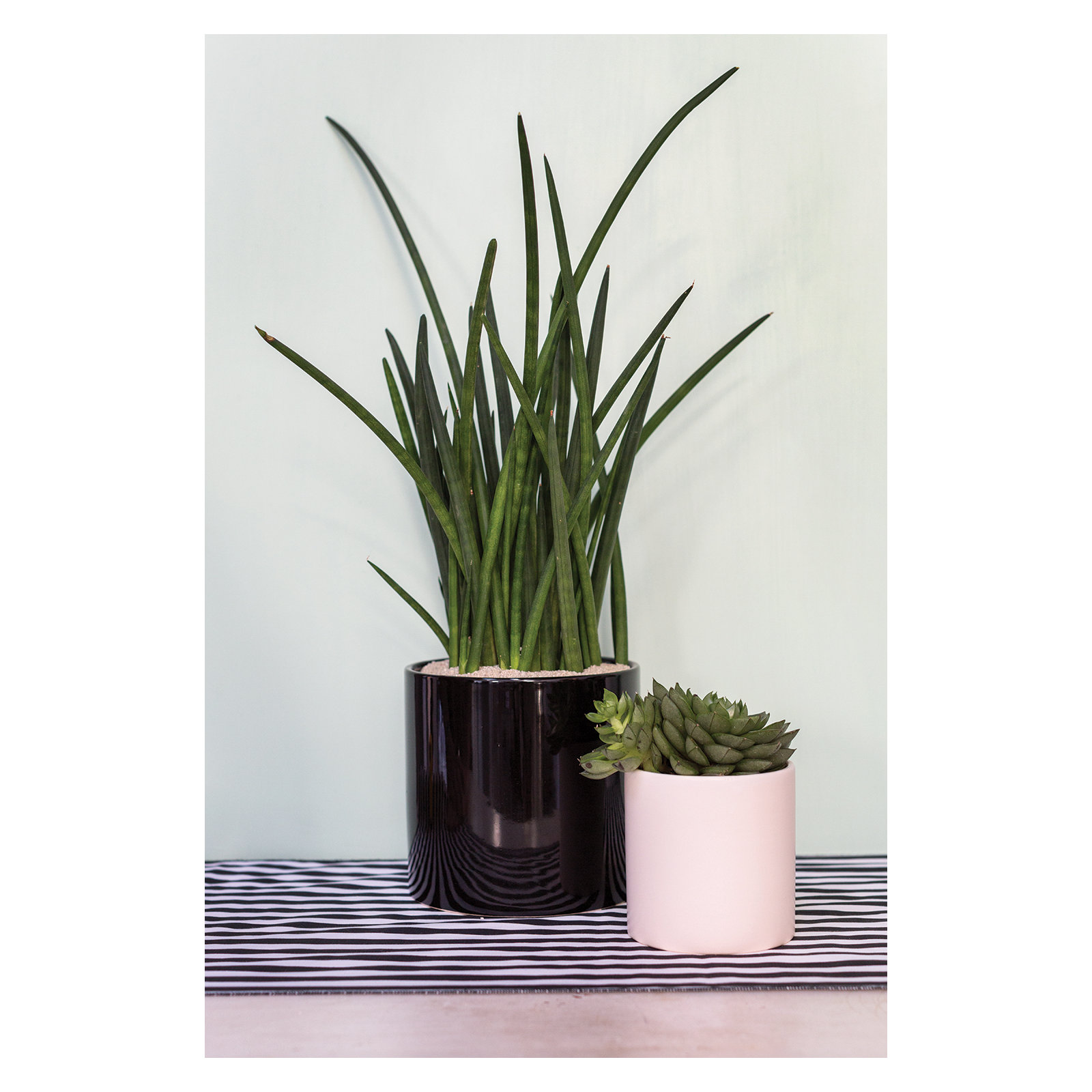 Handmade Ceramic Pot Planter, 4.25" H x 4.25" W x 4.25" D, Matte White