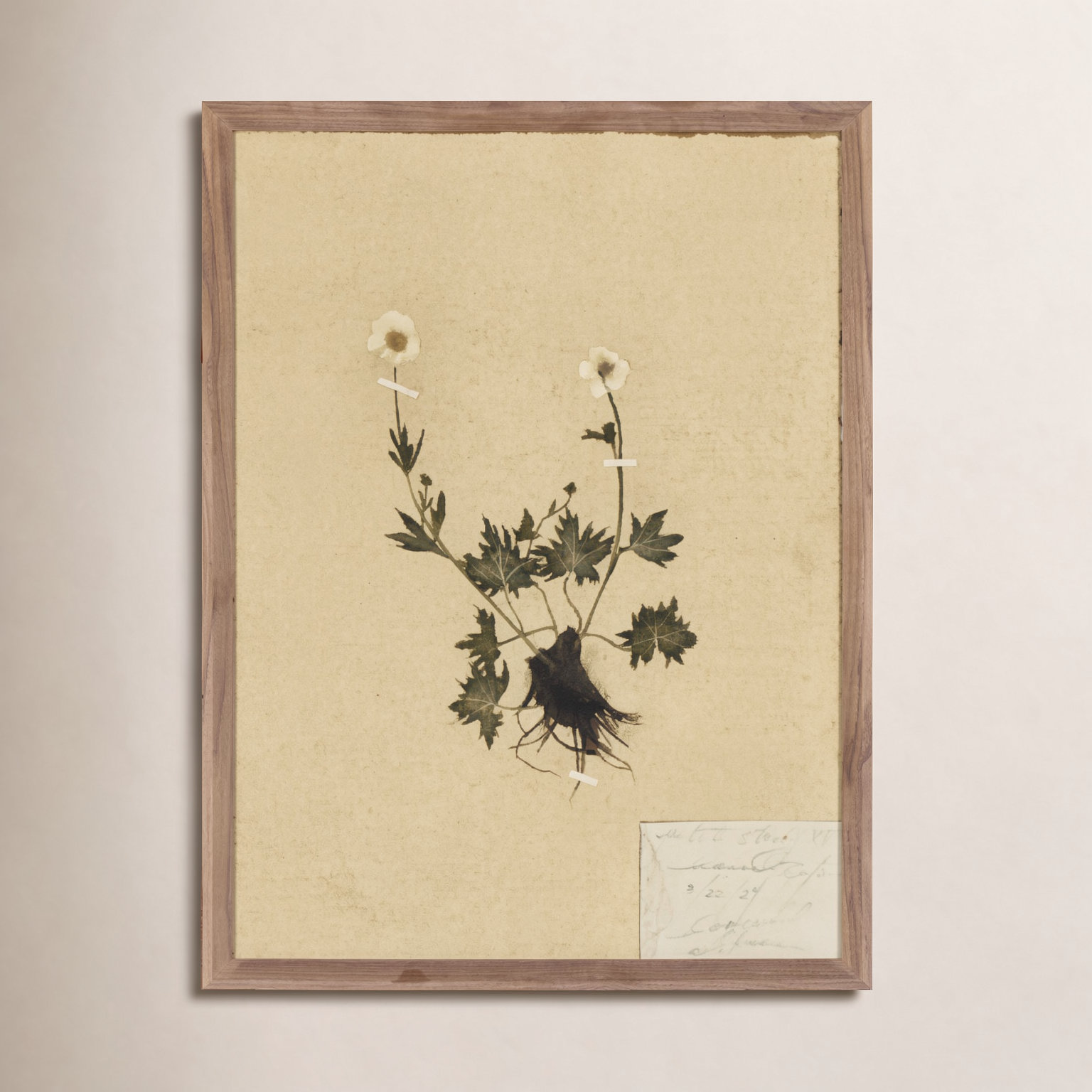 Amber Lewis x Four Hands "Petite Study V" Painting, 18" H x 14.5" W