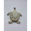 Tortue Penn-186037845
