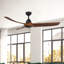 Baylor Smart Downrod Ceiling Fan-1674648005