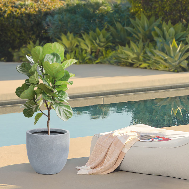 Pot de fleurs d'extérieur gris clair avec trou de drainage de 17,5 po de diamètre Acushnet, H 17,2 po x l 17,5 po x P 17,5 po