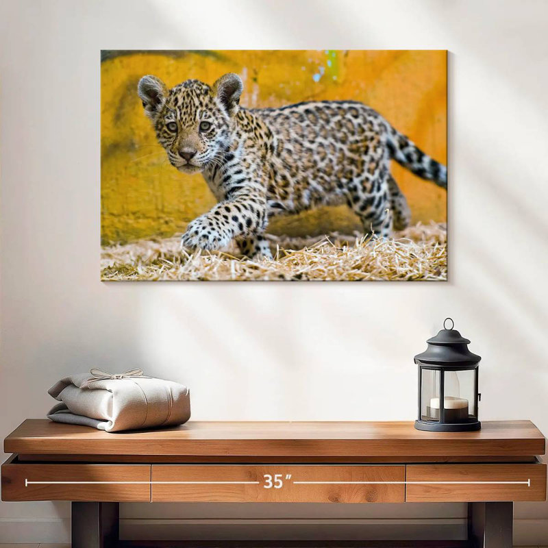 Brampt Jaguar Cub, 16" H x 24" W