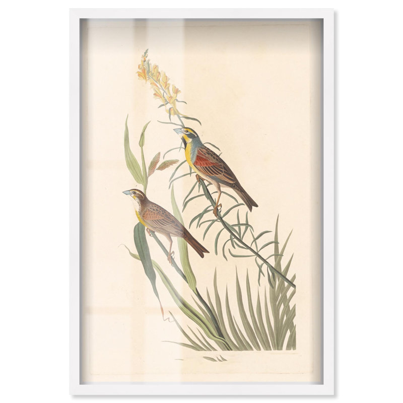 «Tallgrass pair shadowbox print», art botanique par Art Remedy, H 16 po x l 11 po, Blanc