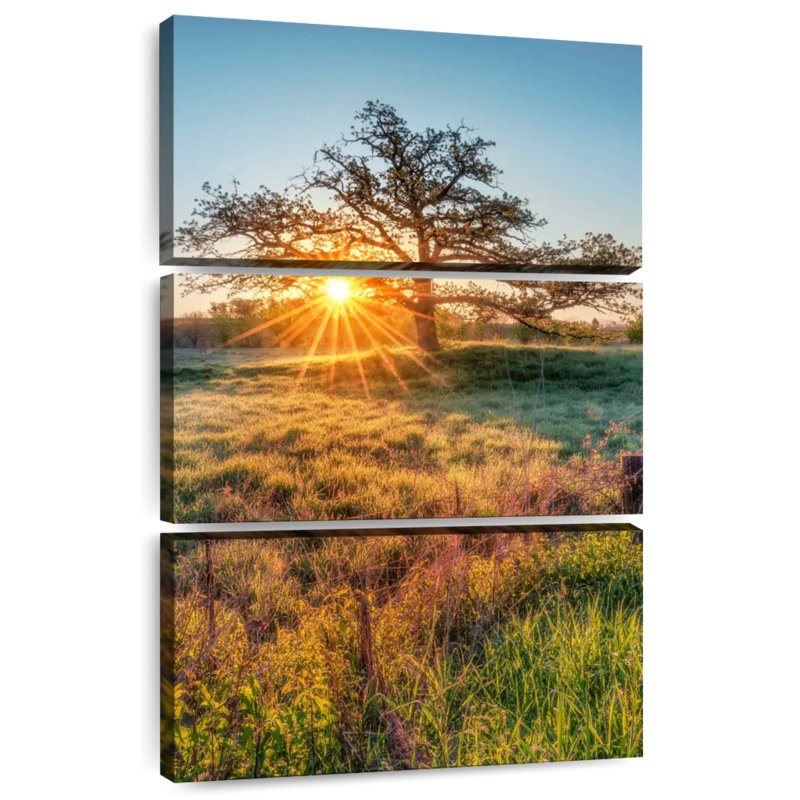 Harnek Oak Tree Sunrise, H 32 po x l 20 po