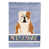Bouledogue anglais fauve / blanc assis sélectionné