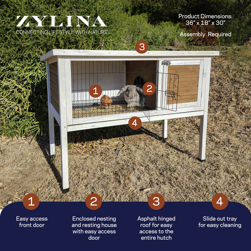 Zylina White and Natural Wood Rabbit Hutch with Mesh Door