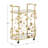 Larkynn Gold Finish Foliage Bar Cart With Mirror Top And Bottom