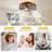 20'' 6-Speed Farmhouse Reversible Caged Ceiling Fan With Light Kit And Remote