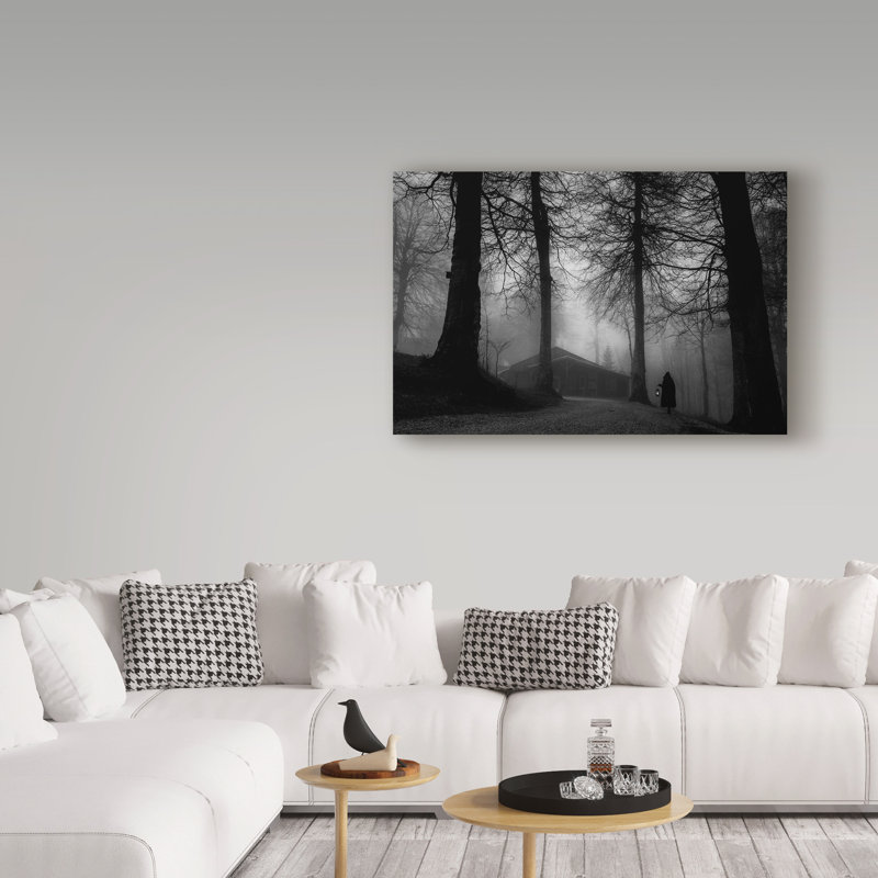 «Fog II» par Leeven, reproduction de photo sur toile tendue, H 12 po x l 19 po x P 2 po