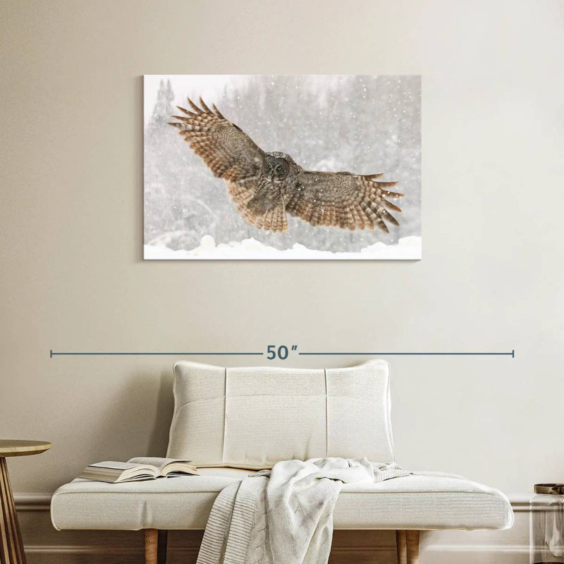 Brampt Blizzard Owl, 24" H x 36" W